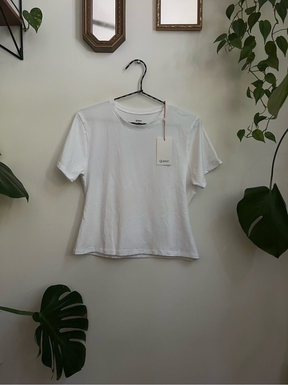 Quince Women's White Cotton Jersey Fitted T-Shirt